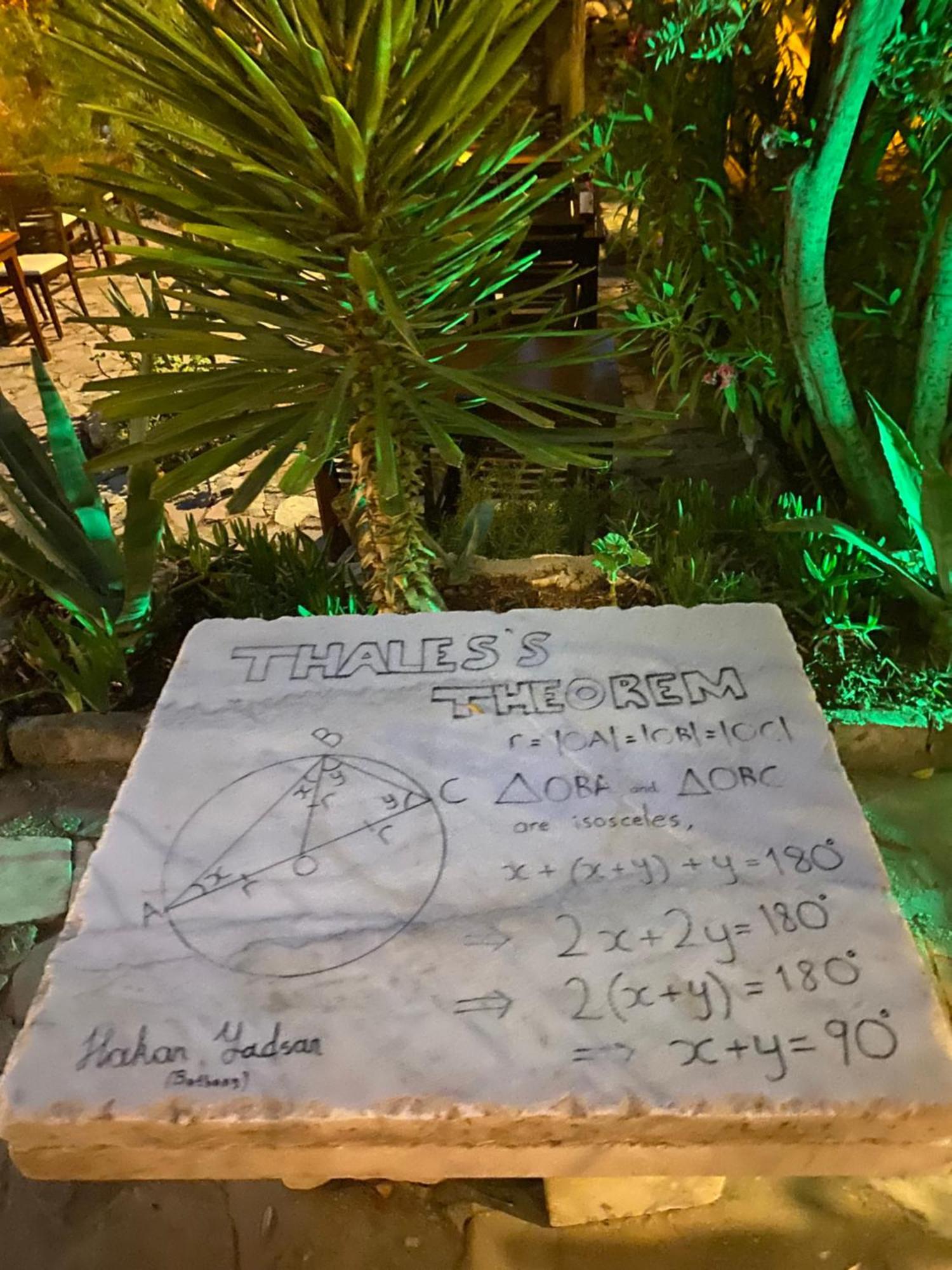 Medusa House Butik Hotel Ντιντίμ Εξωτερικό φωτογραφία