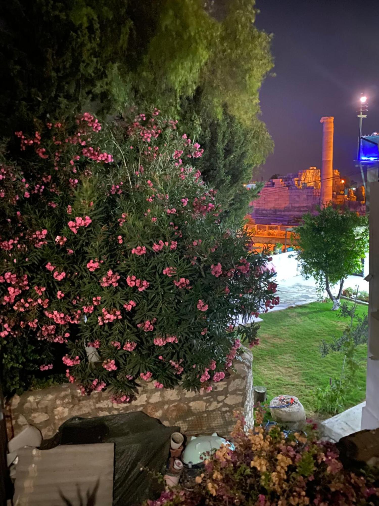Medusa House Butik Hotel Ντιντίμ Εξωτερικό φωτογραφία