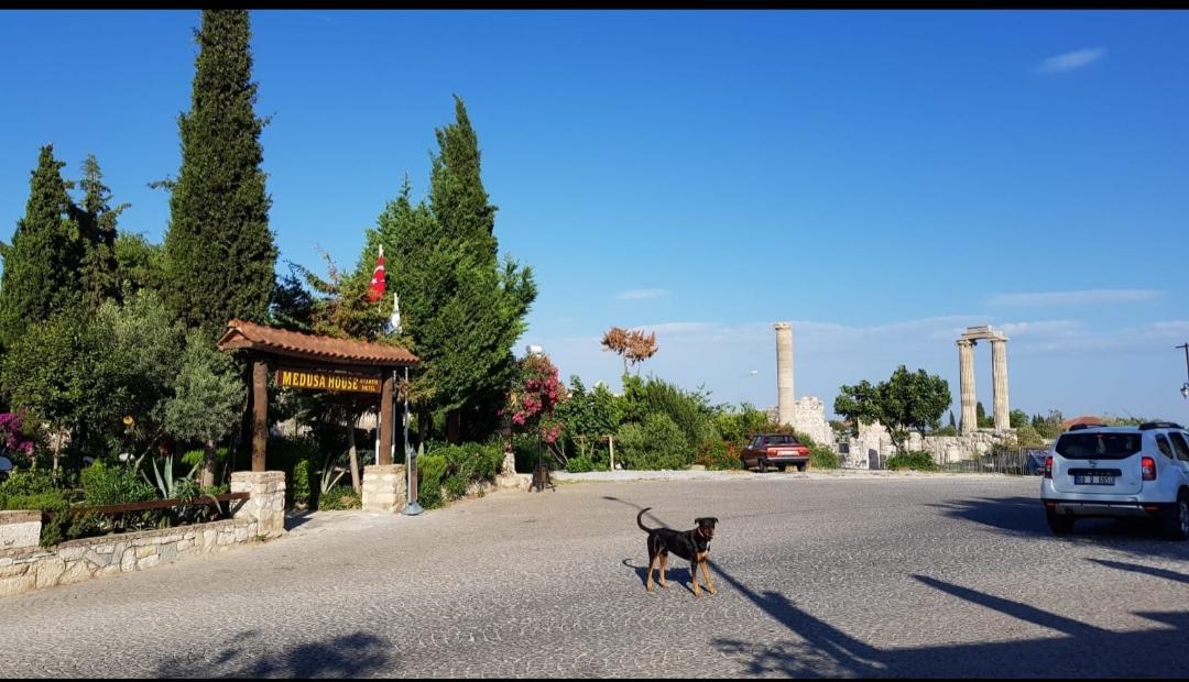 Medusa House Butik Hotel Ντιντίμ Εξωτερικό φωτογραφία